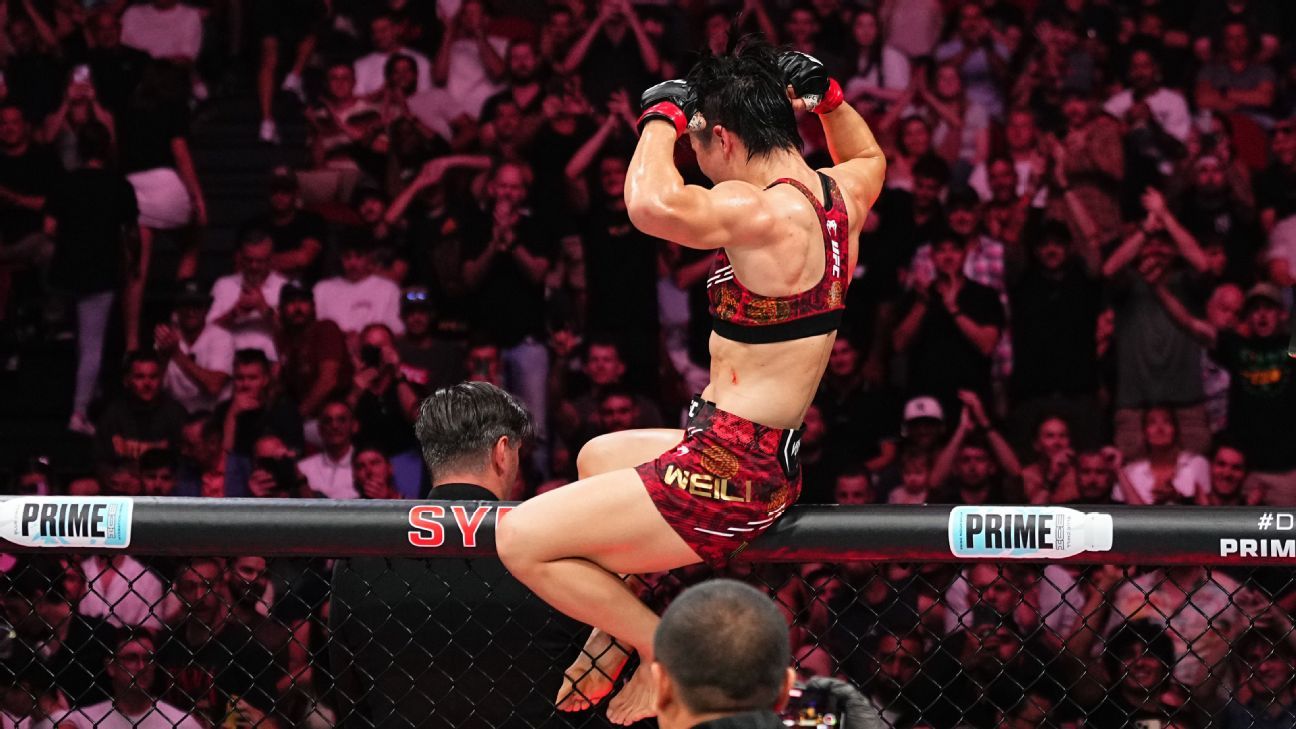 这无疑反映 这无疑反映