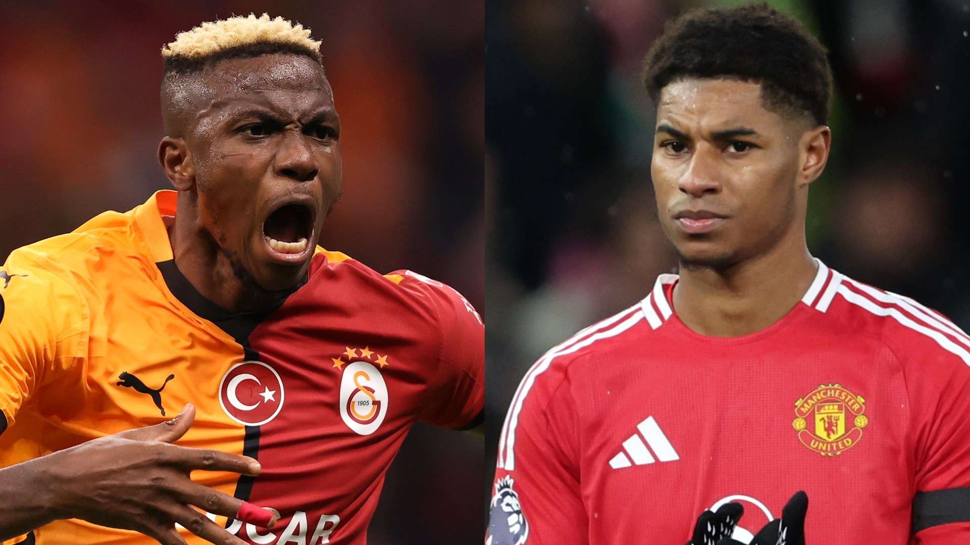 外租不仅能 外租不仅能