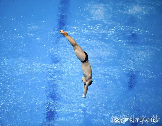 跳水世界杯巅峰之战:混合团体锦标赛 跳水世界杯巅峰之战:混合团体锦标赛